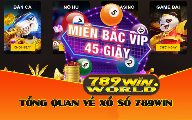 Tổng quan về xổ số 789win